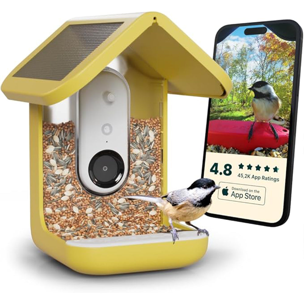 ๐ Solar Bird Feeder with Camera โ 50% OFF Today! ๐ฆ๐ธ