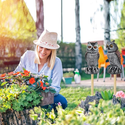 🦉 Owl Garden Guard – No Batteries Needed, Just Wind Power!