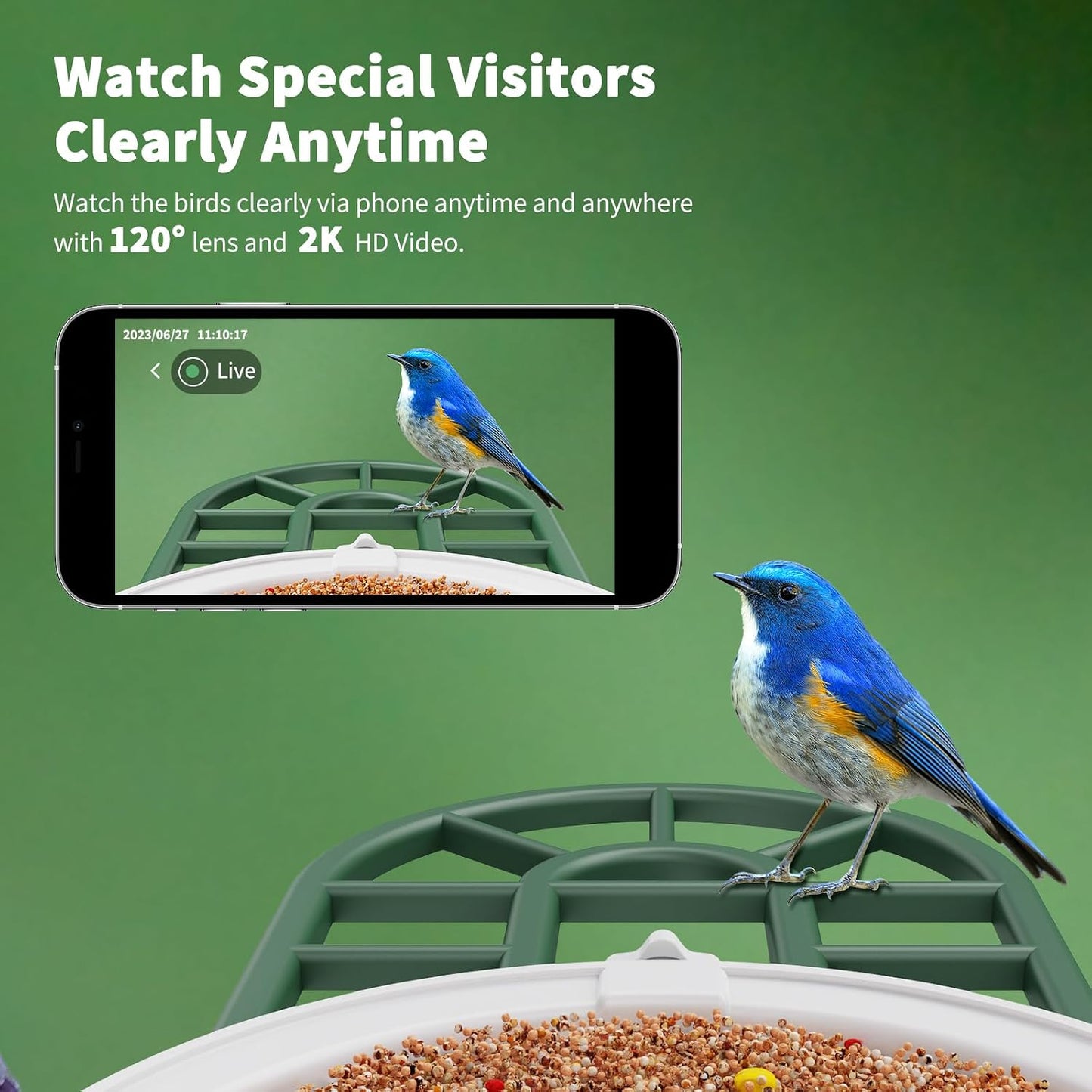 Smart Solar Bird Feeder with 2K Camera & AI Bird ID