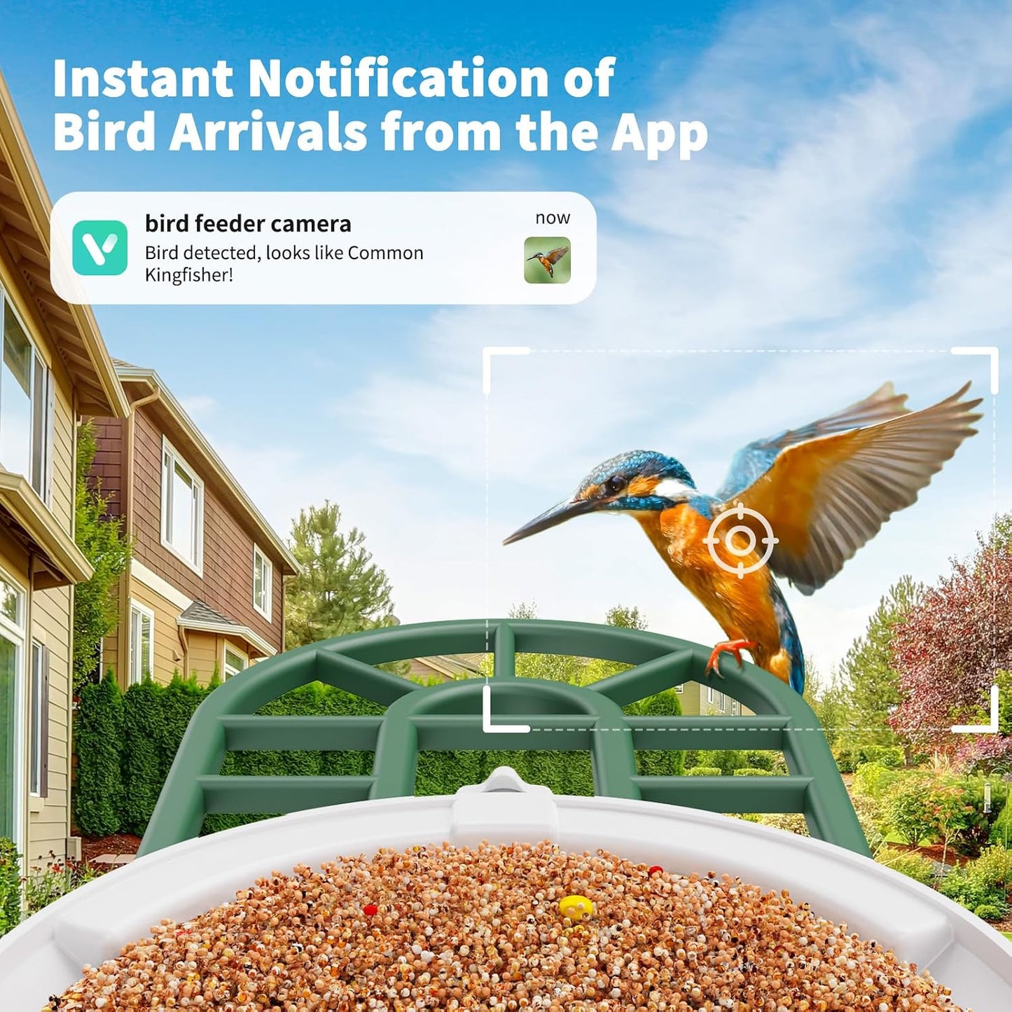 Smart Solar Bird Feeder with 2K Camera & AI Bird ID